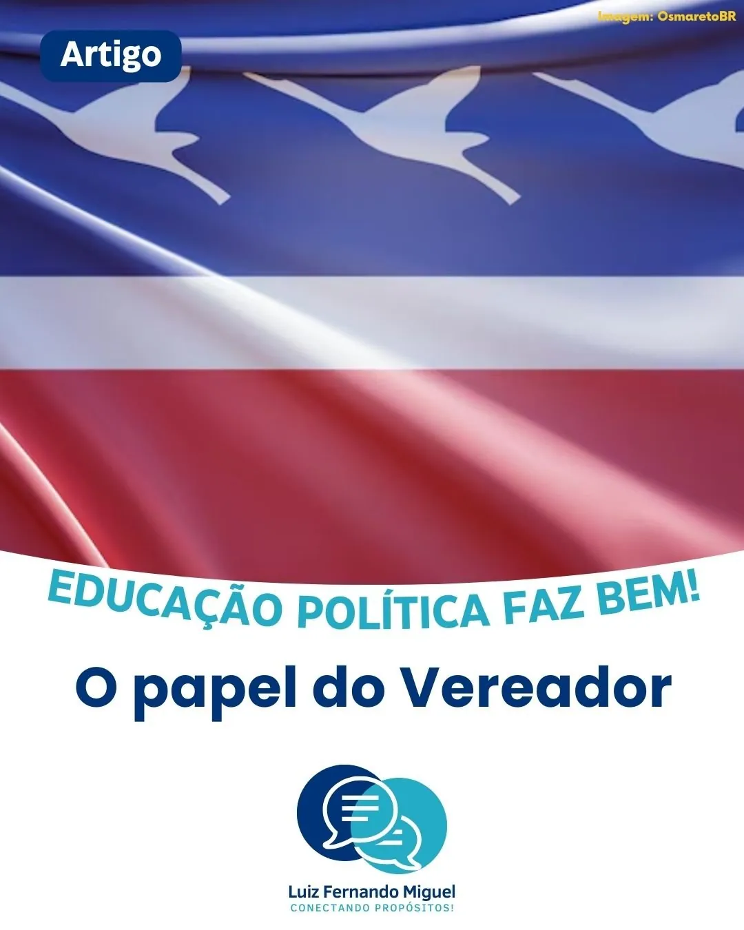 Educação Política Faz Bem! Desvendando os Segredos do Poder Legislativo Municipal: Um Guia para gente como a gente!